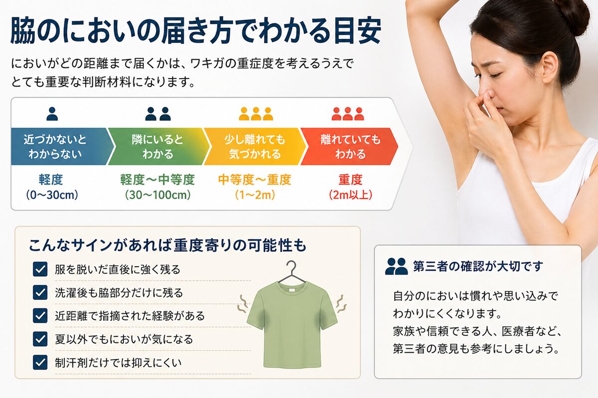 脇のにおいがどの距離まで届いているかの説明図