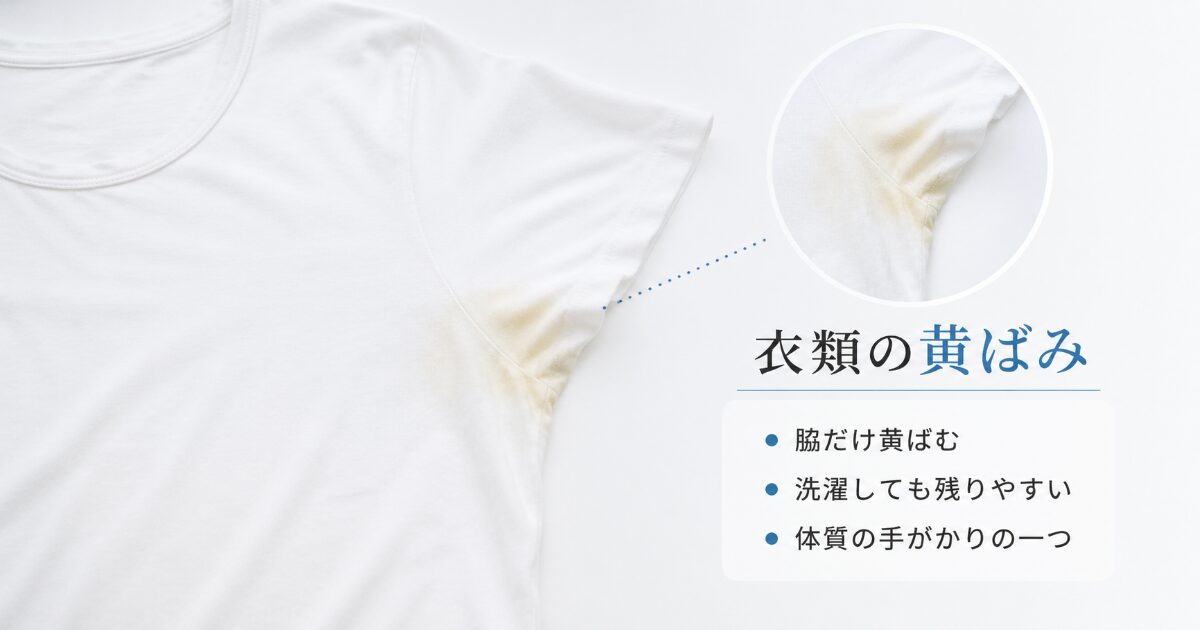 白いTシャツや肌着の脇部分に黄ばみが残っている画像