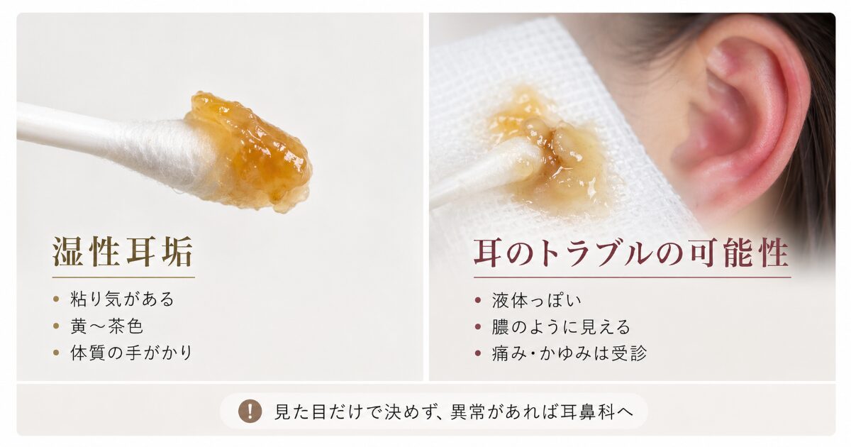 通常の湿性耳垢と、耳だれや炎症が疑われる分泌物を区別する説明用画像